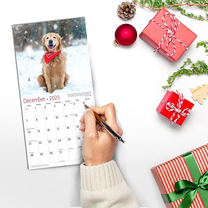 MICASA Golden Retrievers Mini 2025 Wall Calendar 12 Month | 7" x 14" Open | Thick & Sturdy Paper | Giftable | Calendar 2025