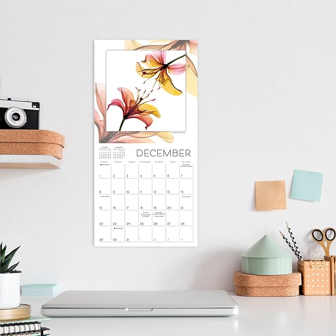 Flower Spirits 2024 Mini Calendar — Radiographs of Nature by Steven N. Meyers, 7" x 7"