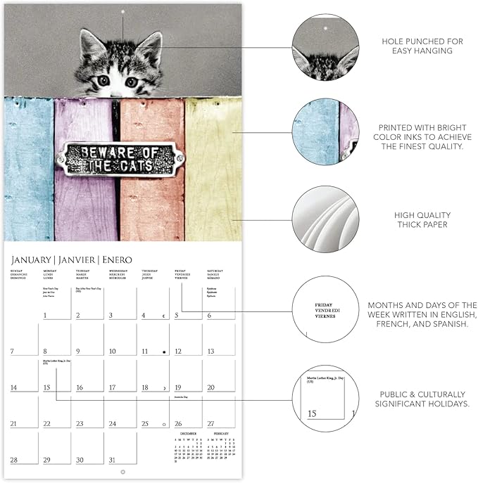 Graphique 2024 Classic Cats Wall Calendar | 12” x 12” | Thick Paper | Home & Office Organizer | Large Monthly Grid | 3 Languages & Marked Holidays | 4 Month Preview Page for 2025