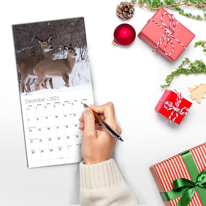 RED EMBER Whitetail Deer Mini 2025 Wall Calendar 12 Month | 7" x 14" Open | Thick & Sturdy Paper | Giftable | Calendar 2025