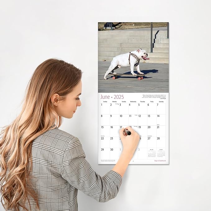 RED EMBER Dogs on Skateboards 2025 Wall Calendar 12 Month | 12" x 24" Open | Thick & Sturdy Paper | Giftable | Calendar 2025