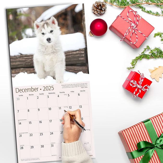 RED EMBER Siberian Husky Puppies 2025 Wall Calendar 12 Month | 12" x 24" Open | Thick & Sturdy Paper | Giftable | Calendar 2025
