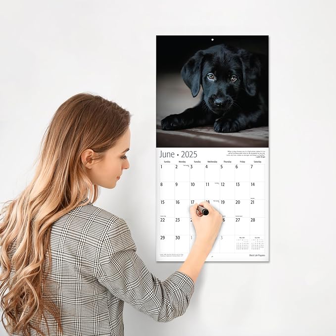 RED EMBER Black Lab Puppies 2025 Wall Calendar 12 Month | 12" x 24" Open | Thick & Sturdy Paper | Giftable | Calendar 2025