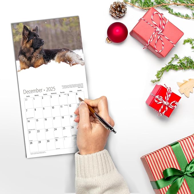 MICASA German Shepherds Mini 2025 Wall Calendar 12 Month | 7" x 14" Open | Thick & Sturdy Paper | Giftable | Calendar 2025