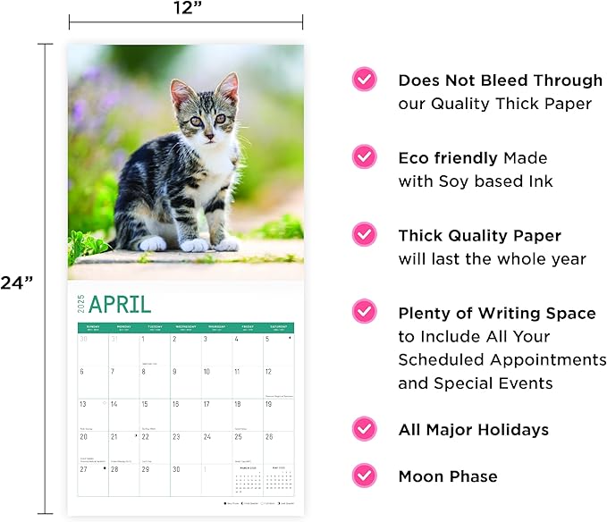 2025 Kittens Monthly Wall Calendar by Bright Day, Includes Over 300 Stickers, 12 x 12 Inch