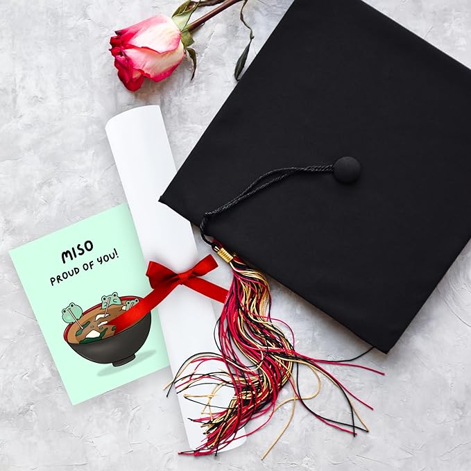 ALY LOU Funny Graduation Card, Congratulations Congrats Card for Him/Her, Funny Grad Card for New Job Promotion, New Home, Wedding Celebration (Miso Proud)