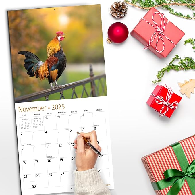 RED EMBER Roosters 2025 Wall Calendar 12 Month | 12" x 24" Open | Thick & Sturdy Paper | Giftable | Calendar 2025