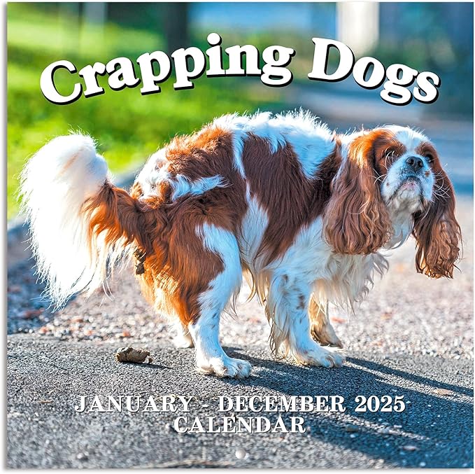 Gag Gifts - Pooping Dogs Calendar, 2025 Wall Calendar from January 2025 to December 2025, Funny Dogs Calendar, Funny Gag Gifts for Family, Friends, 11.8'' x 11.8''