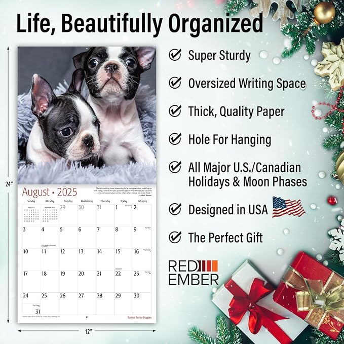 RED EMBER Boston Terrier Puppies 2025 Wall Calendar 12 Month | 12" x 24" Open | Thick & Sturdy Paper | Giftable | Calendar 2025