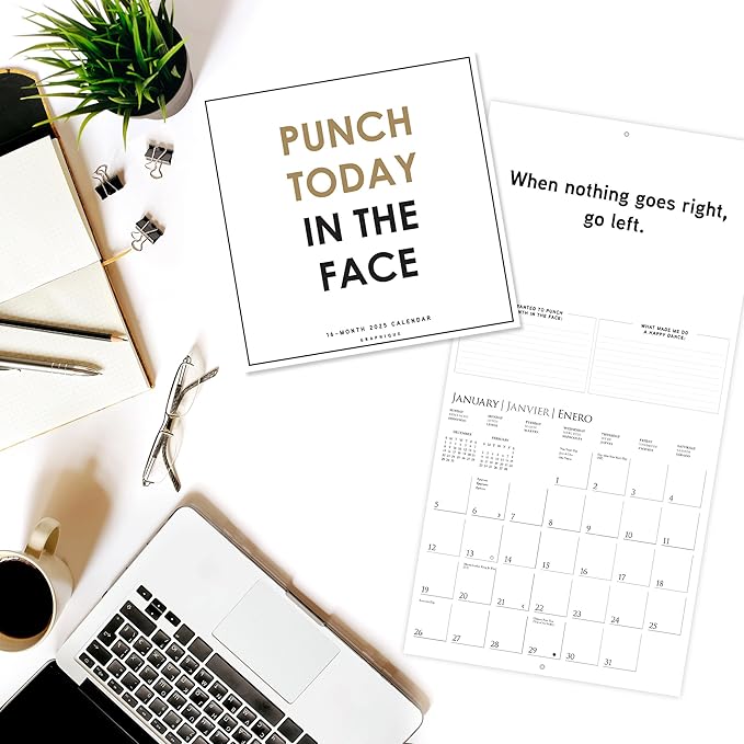 Graphique 2025 Punch Today in the Face Wall Calendar | 12” x 12” | Thick Paper | Home & Office Organizer | Large Monthly Grid | 3 Languages & Marked Holidays | 4 Month Preview Page for 2026