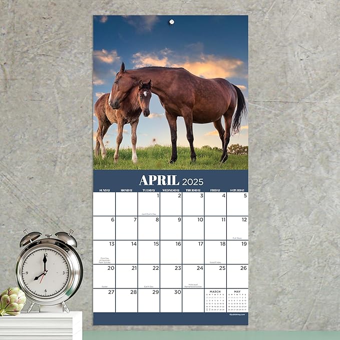 TF PUBLISHING 2025 Horses Mini Calendar Case of 90 - Large Grids for Appointments and Scheduling - Vertical Monthly Wall Calendar 2025 - Home and Office Organization - Premium Gloss Paper - 7"x7"