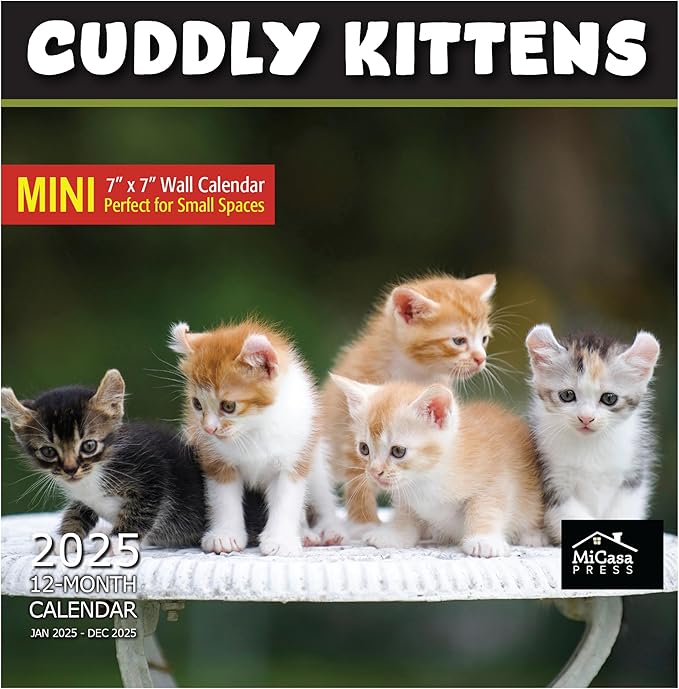 MICASA Cuddly Kittens Mini 2025 Wall Calendar 12 Month | 7" x 14" Open | Thick & Sturdy Paper | Giftable | Calendar 2025