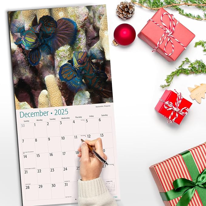 RED EMBER Under the Sea 2025 Wall Calendar 12 Month | 12" x 24" Open | Thick & Sturdy Paper | Giftable | Calendar 2025