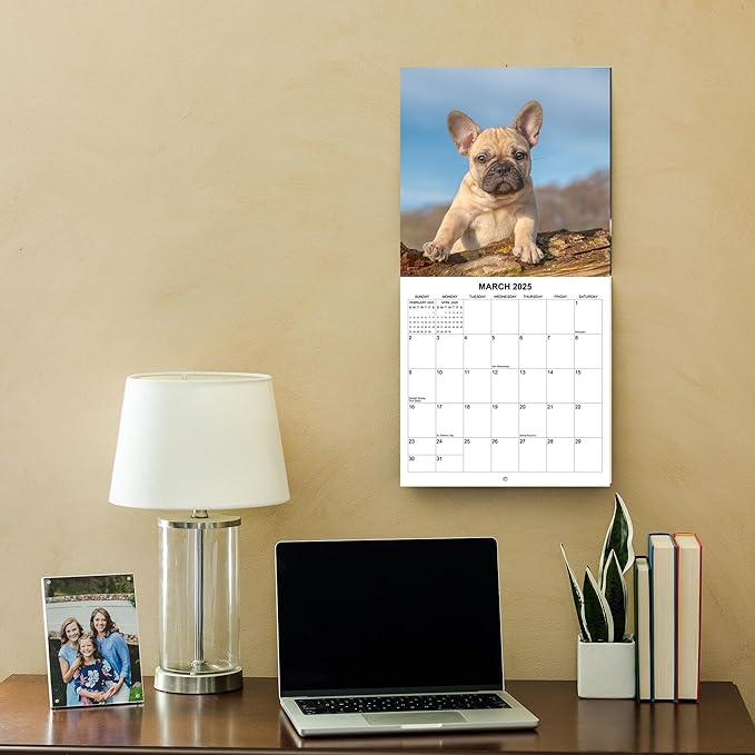2025 Puppies Monthly Wall Calendar | 12" x 24" | Thick Sturdy Paper | Puppy Dog Calendar 2024-2025