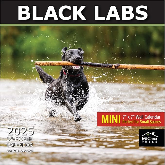MICASA Black Labs Mini 2025 Wall Calendar 12 Month | 7" x 14" Open | Thick & Sturdy Paper | Giftable | Calendar 2025