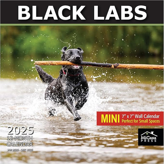 MICASA Black Labs Mini 2025 Wall Calendar 12 Month | 7" x 14" Open | Thick & Sturdy Paper | Giftable | Calendar 2025