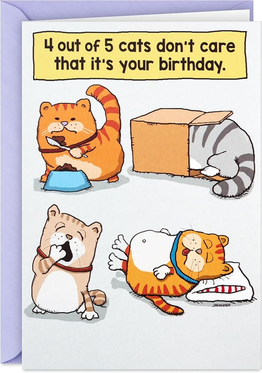Hallmark Shoebox Funny Birthday Card (Cats Don't Care)
