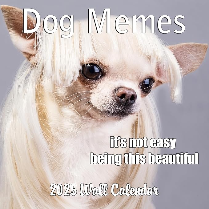 2025 Funny Dog Memes Monthly Wall Calendar | 12" x 24" | Thick Sturdy Paper | Dog Calendar 2024-2025