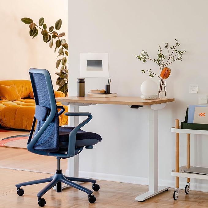 Branch Verve Chair - High Performance Executive Office Chair with Contoured Seat Back and Adjustable Lumbar Rest - High Density Foam Cushion with Aluminum Base - Up to 275 lbs - Cobalt