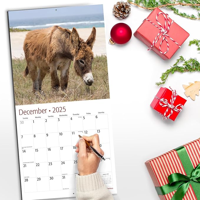 RED EMBER Donkeys 2025 Wall Calendar 12 Month | 12" x 24" Open | Thick & Sturdy Paper | Giftable | Calendar 2025