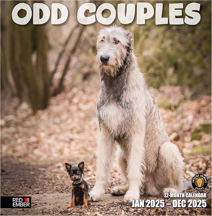 RED EMBER Odd Couples 2025 Wall Calendar 12 Month | 12" x 24" Open | Thick & Sturdy Paper | Giftable | Calendar 2025