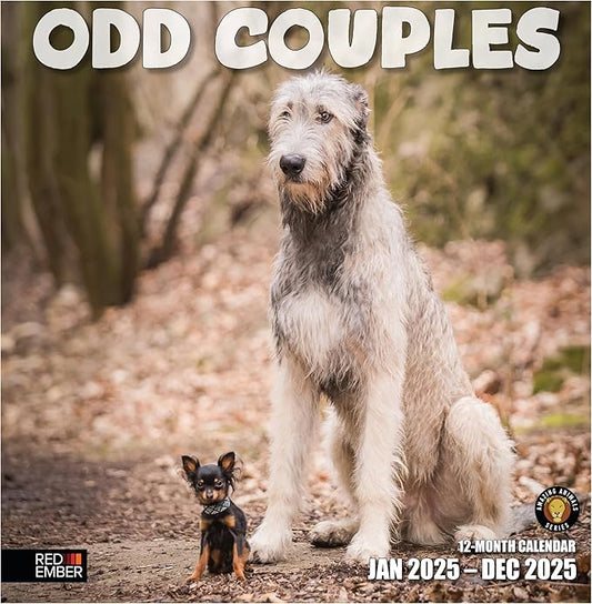 RED EMBER Odd Couples 2025 Wall Calendar 12 Month | 12" x 24" Open | Thick & Sturdy Paper | Giftable | Calendar 2025
