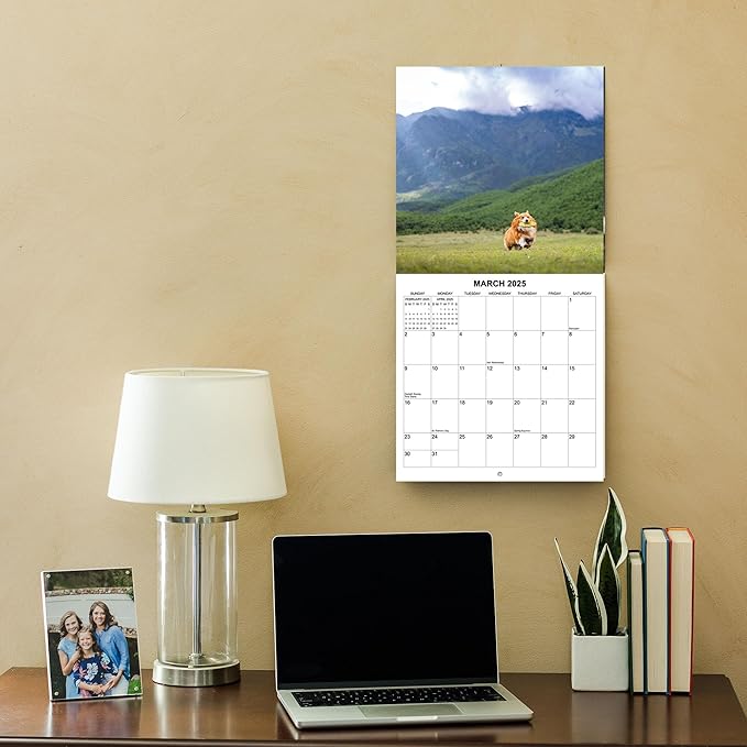 2025 Corgis Monthly Wall Calendar | 12" x 24" | Thick Sturdy Paper | Dog Calendar 2024-2025