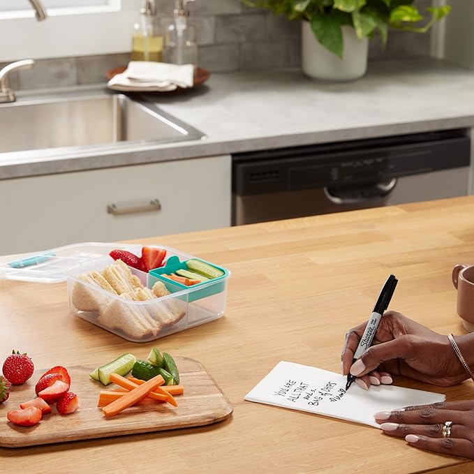 Sharpie Permanent Marker | Fine Point for Bold Details | Black Ink | 1 Marker Pen