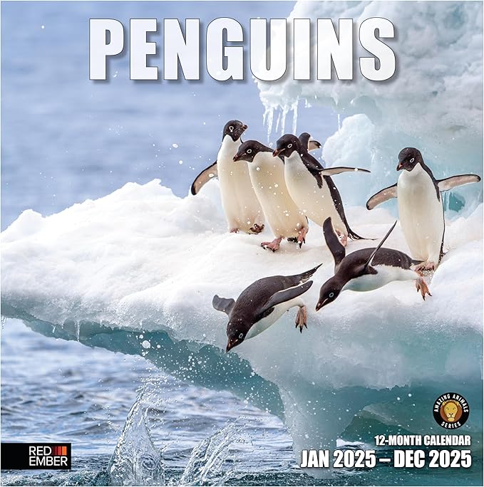 RED EMBER Penguins 2025 Wall Calendar 12 Month | 12" x 24" Open | Thick & Sturdy Paper | Giftable | Calendar 2025