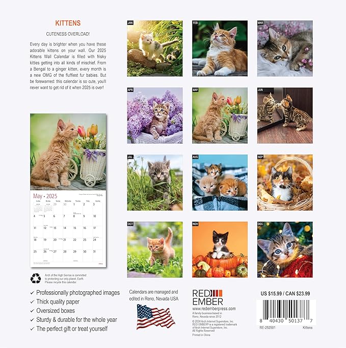 RED EMBER Kittens 2025 Wall Calendar 12 Month | 12" x 24" Open | Thick & Sturdy Paper | Giftable | Calendar 2025