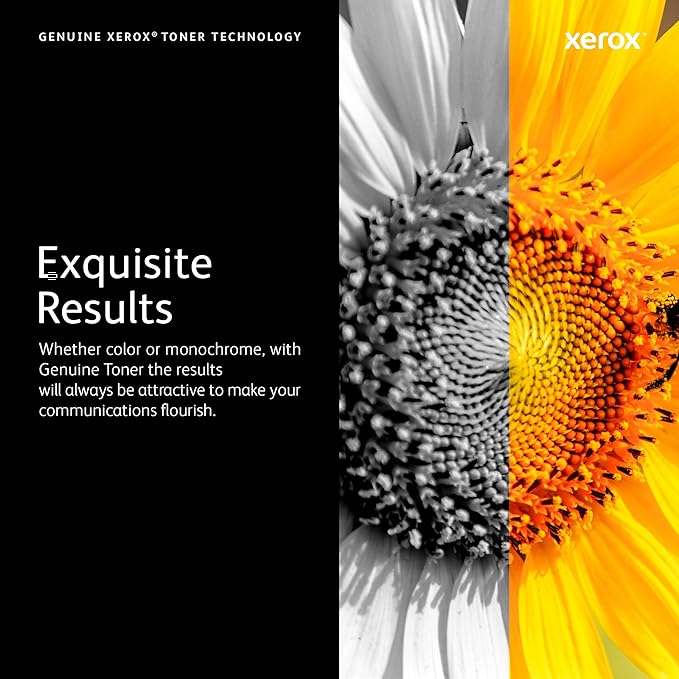 Xerox Genuine C410 Black Standard Capacity Toner Cartridge (2,400 Pages) -006R04677