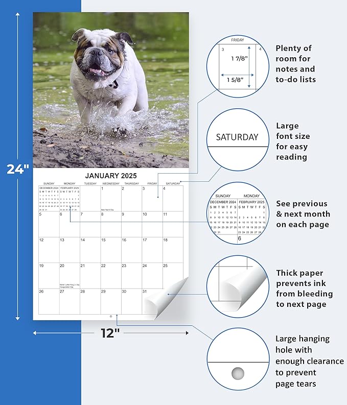 2025 English Bulldogs Monthly Wall Calendar | 12" x 24" | Thick Sturdy Paper | Dog Calendar 2024-2025