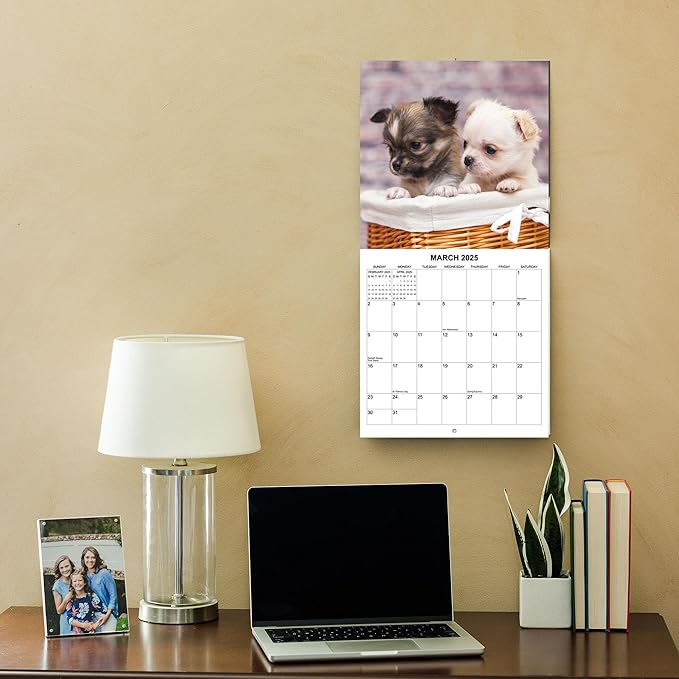 2025 Chihuahua Monthly Wall Calendar | 12" x 24" | 2024-2025 Chihuaha Dog Calendar