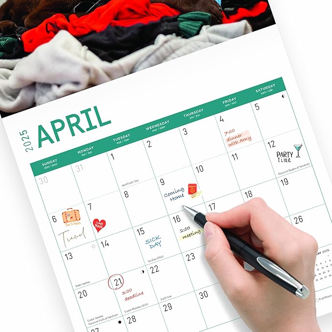 2025 Chocolate Lab Puppies Monthly Wall Calendar by Bright Day, 12 x 12 Inch Cute Dog Breed Gift