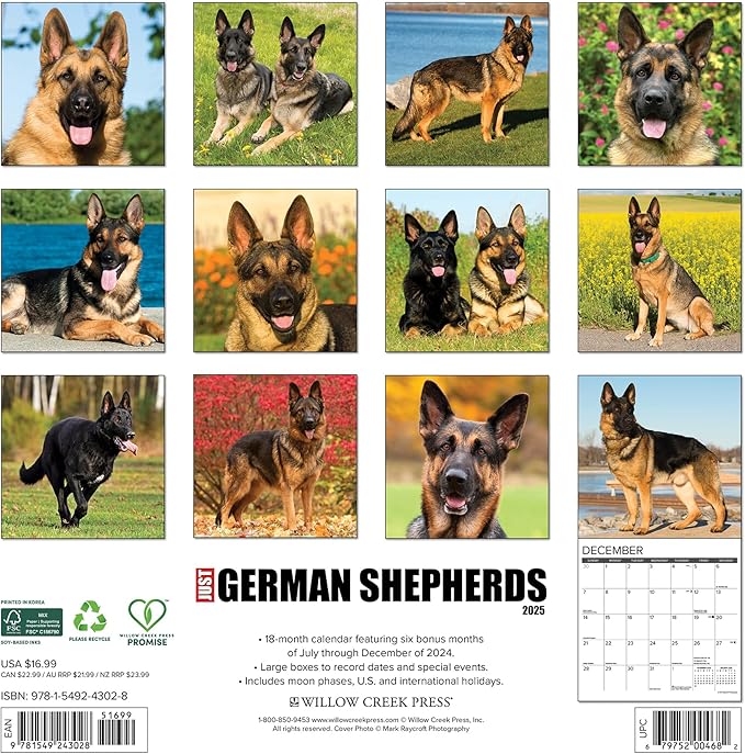 Willow Creek Press German Shepherds Monthly 2025 Wall Calendar (12" x 12")