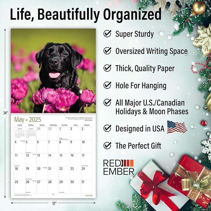 RED EMBER Black Labs 2025 Wall Calendar 12 Month | 12" x 24" Open | Thick & Sturdy Paper | Giftable | Calendar 2025