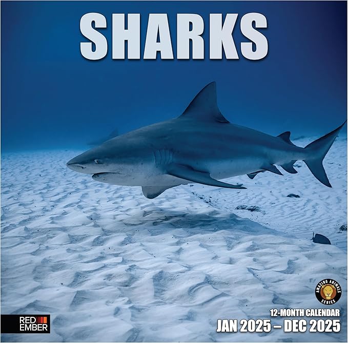 RED EMBER Sharks 2025 Wall Calendar 12 Month | 12" x 24" Open | Thick & Sturdy Paper | Giftable | Calendar 2025