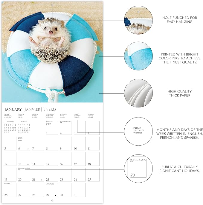 Graphique 2025 Happiest Hedgehogs Wall Calendar | 12” x 12” | Thick Paper | Home & Office Organizer | Large Monthly Grid | 3 Languages & Marked Holidays | 4 Month Preview Page for 2026