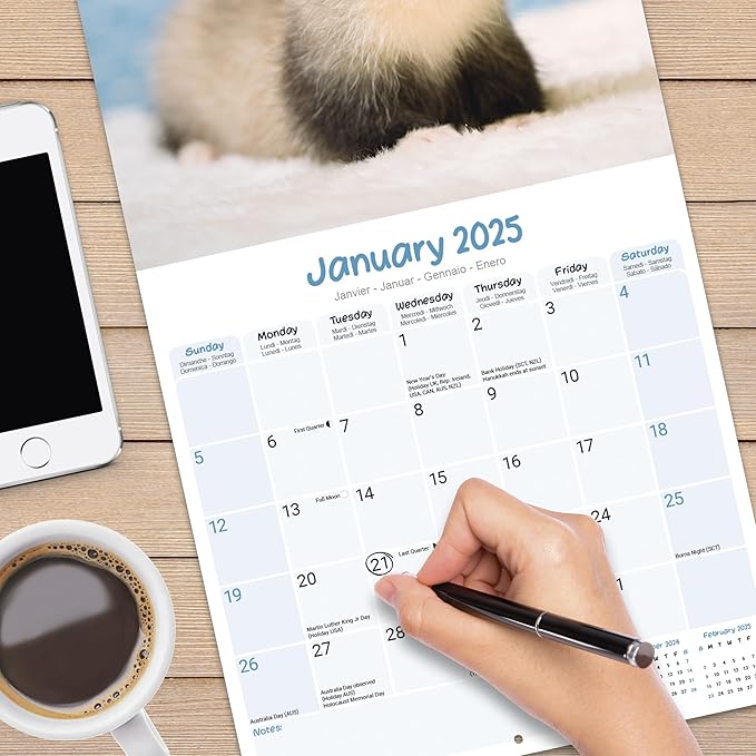 2025 Ferrets Wall Calendar, 12X12, Avonside Publishing