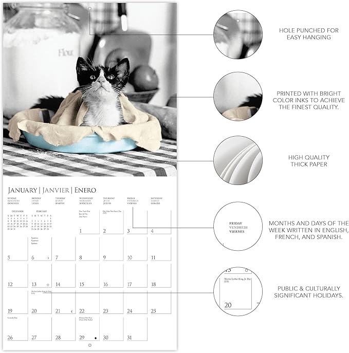 Graphique 2025 Classic Cats Wall Calendar | 12” x 12” | Thick Paper | Home & Office Organizer | Large Monthly Grid | 3 Languages & Marked Holidays | 4 Month Preview Page for 2026