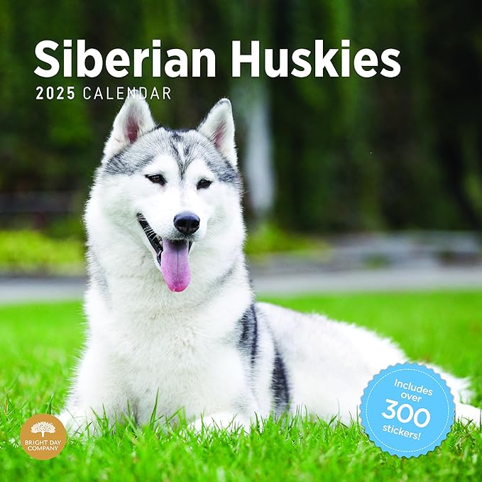 2025 Siberian Huskies Monthly Wall Calendar by Bright Day, Includes Over 300 Stickers, 12 x 12 Inch