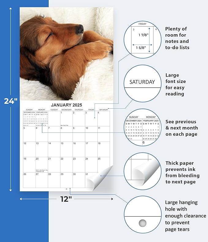 2025 Dachshund Weiner Dogs Monthly Wall Calendar | 12" x 24" | Thick Sturdy Paper | 2025 Wiener Dog Calendar