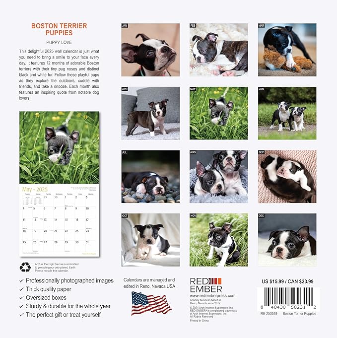 RED EMBER Boston Terrier Puppies 2025 Wall Calendar 12 Month | 12" x 24" Open | Thick & Sturdy Paper | Giftable | Calendar 2025