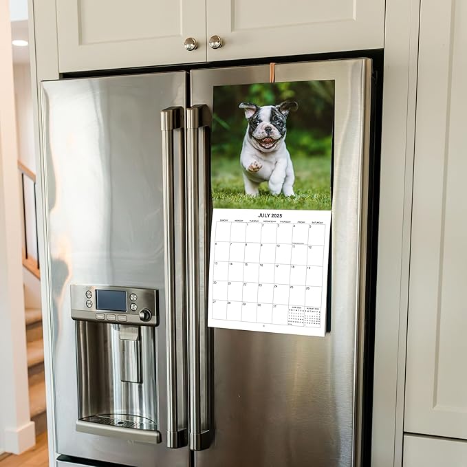 2025 French Bulldogs Monthly Hangable Wall Calendar | 12" x 24" | Thick Sturdy Paper | 2025 Dog Calendar