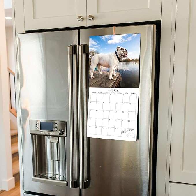2025 English Bulldogs Monthly Wall Calendar | 12" x 24" | Thick Sturdy Paper | Dog Calendar 2024-2025