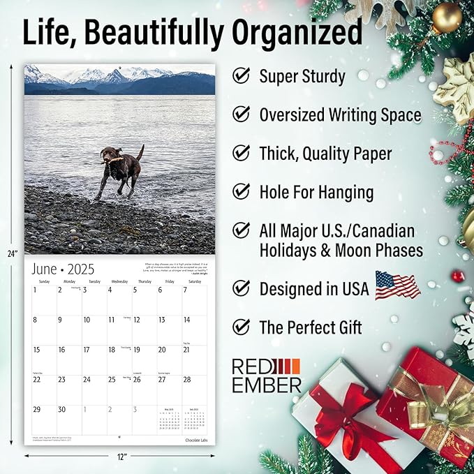 RED EMBER Chocolate Labs 2025 Wall Calendar 12 Month | 12" x 24" Open | Thick & Sturdy Paper | Giftable | Calendar 2025