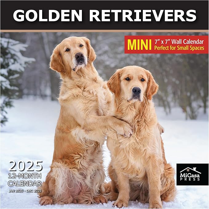 MICASA Golden Retrievers Mini 2025 Wall Calendar 12 Month | 7" x 14" Open | Thick & Sturdy Paper | Giftable | Calendar 2025