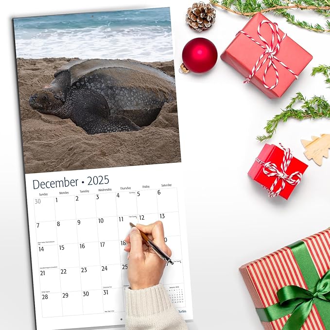 RED EMBER Sea Turtles 2025 Wall Calendar 12 Month | 12" x 24" Open | Thick & Sturdy Paper | Giftable | Calendar 2025