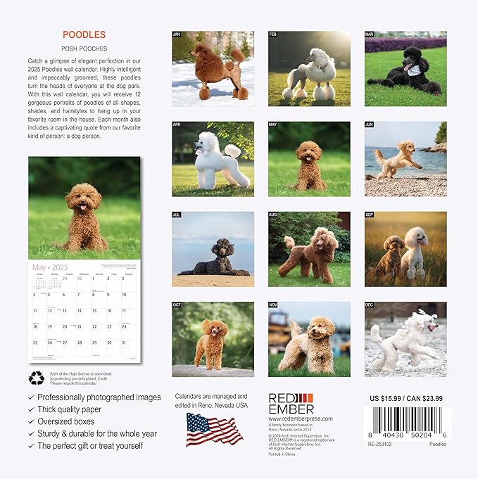 RED EMBER Poodles 2025 Wall Calendar 12 Month | 12" x 24" Open | Thick & Sturdy Paper | Giftable | Calendar 2025