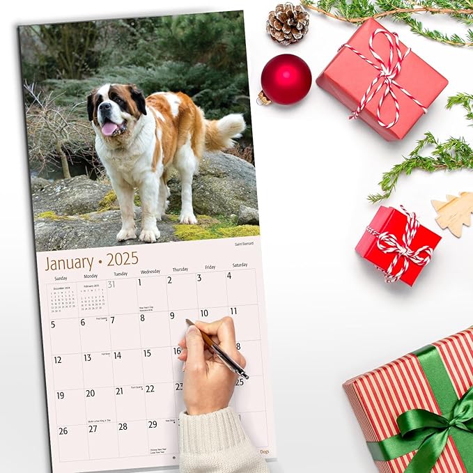 RED EMBER World's Biggest Dogs 2025 Wall Calendar 12 Month | 12" x 24" Open | Thick & Sturdy Paper | Giftable | Calendar 2025